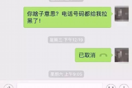 道里收债公司哪里找？专业机构助您解决债务难题